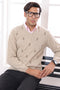 N-STONE-V-NECK FULL SLEEVES SWEATER (507-15)