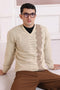 SWAN-V-NECK FULL SLEEVES SWEATER (519-15)